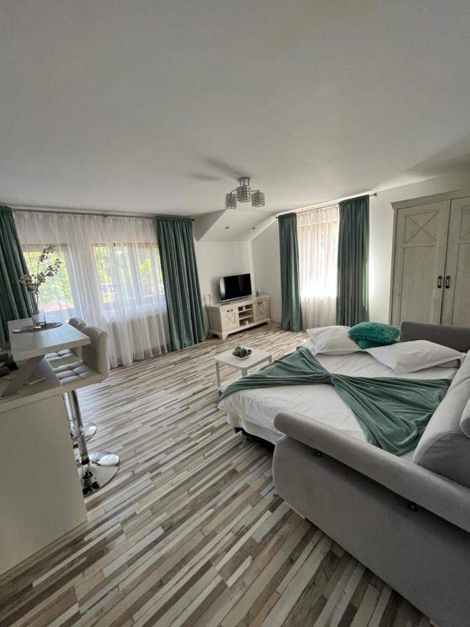 Casa Inna Pensiune